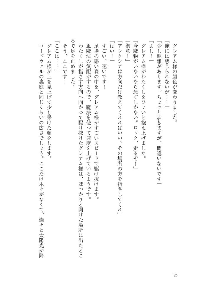 大魔術師様に嫁ぎまして～形式上の妻ですが、なぜか溺愛されています～2　狭山ひびき・木ノ下きの