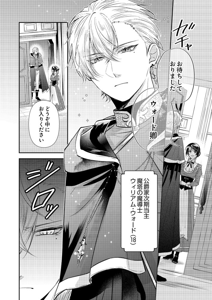キスした猫の正体は魔法にかけられた氷の貴公子でした。「撫でてください」と迫られても困ります！　もぐす・柳葉うら