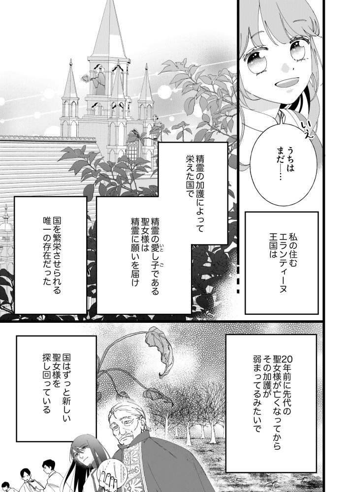 愛し子の結婚～偽装契約なのにエリート騎士様が甘すぎる～　大空あいか・露原そら