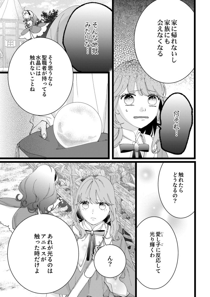 愛し子の結婚～偽装契約なのにエリート騎士様が甘すぎる～　大空あいか・露原そら
