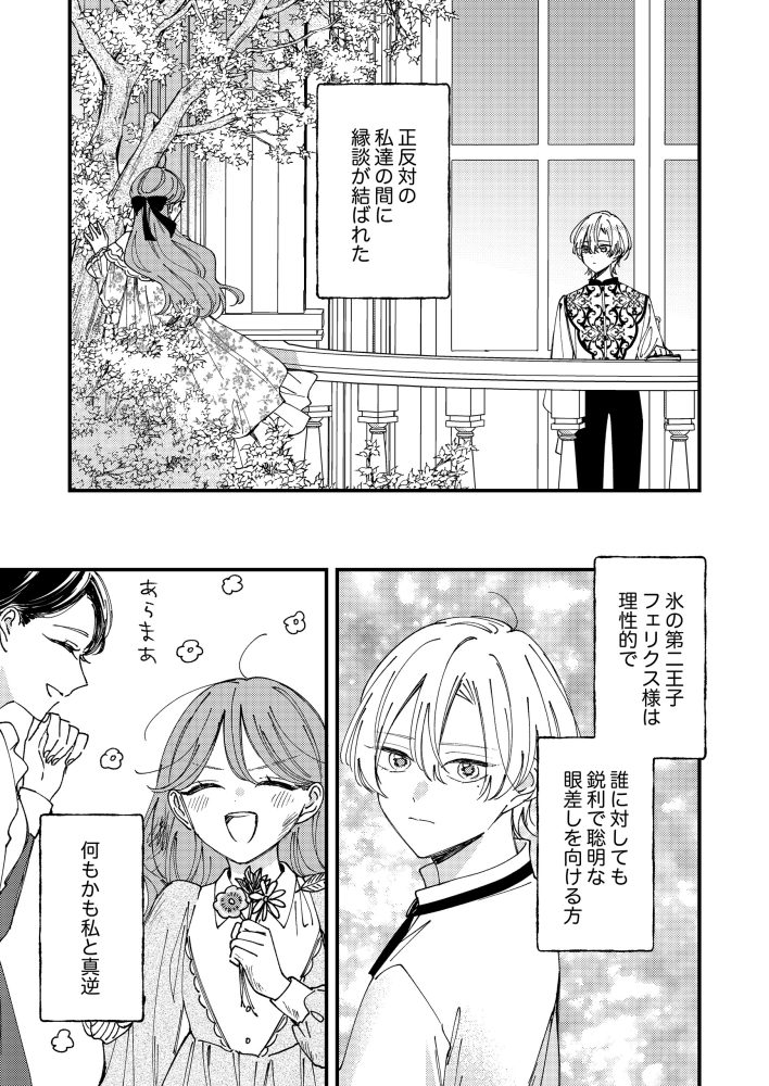 最後の思い出に、魅了魔法をかけました 杏乃・水流花