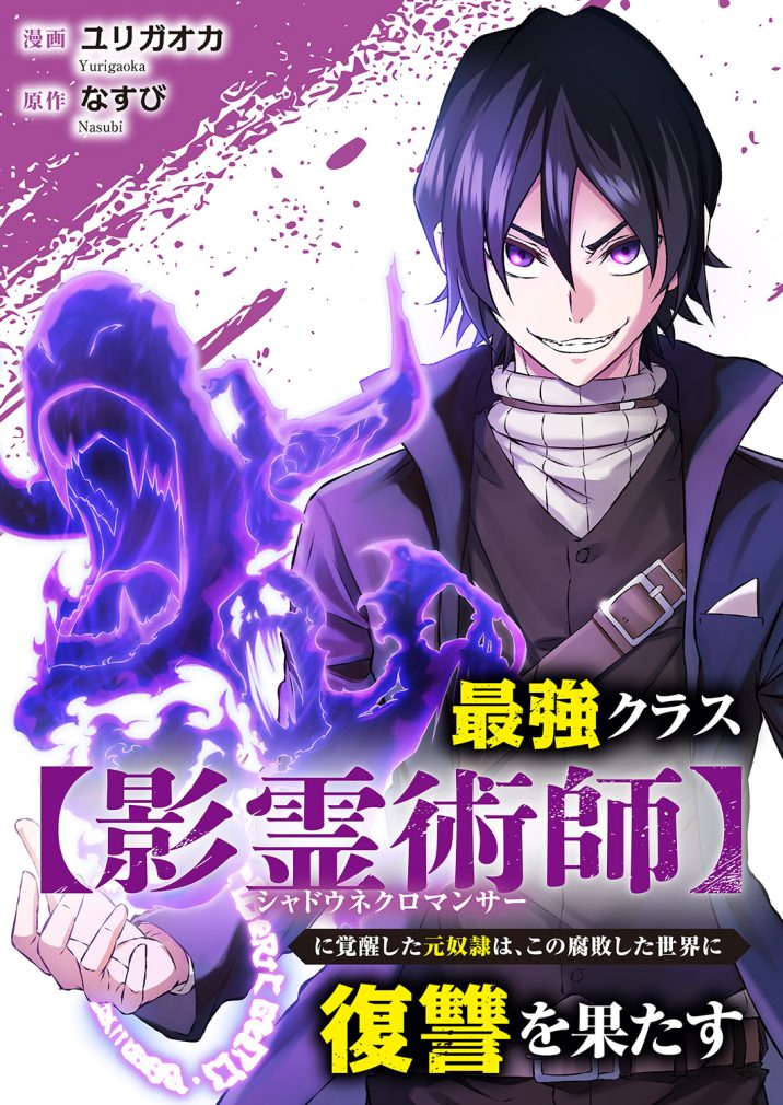 最強クラス【影霊術師】に覚醒した元奴隷は、この腐敗した世界に復讐を果たす　ユリガオカ・なすび