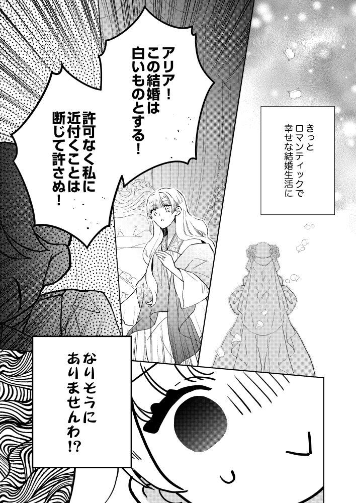 愛のない結婚も二年目に入りました。いまだ旦那さまのお顔を見ておりません。　諒しゅん・新 星緒